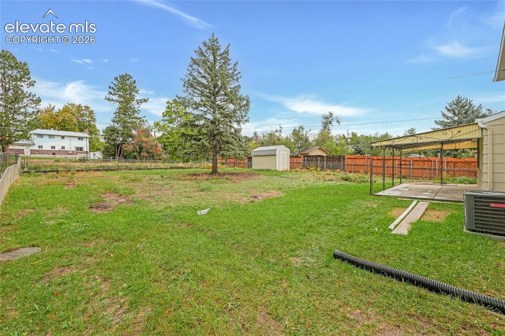 Image 29 of 29: Expansive backyard featuring a mature evergreen tree, a detached storage sh