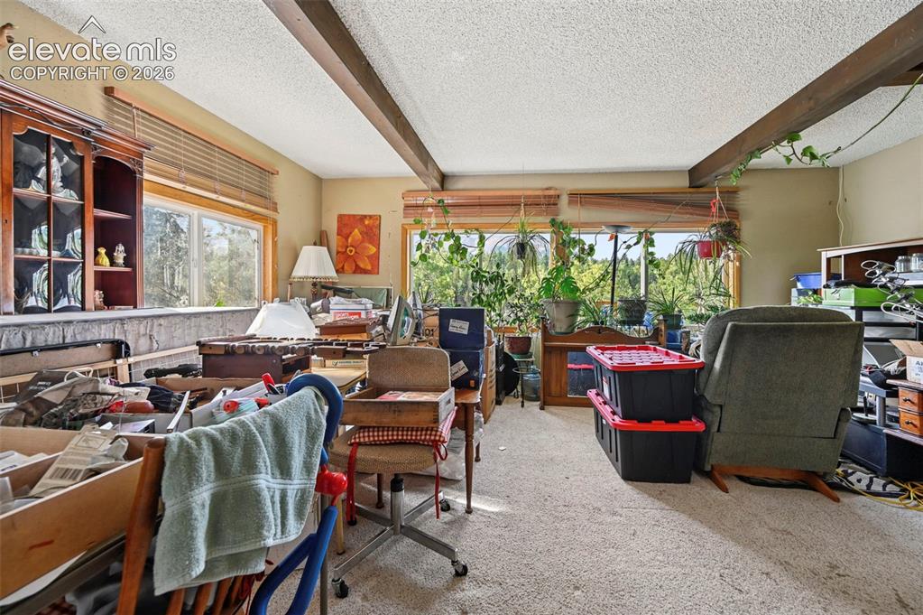 Image 9 of 29: Other