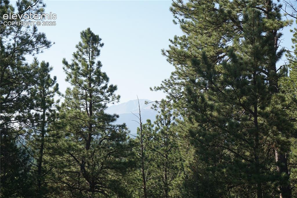 Image 9 of 35: View
