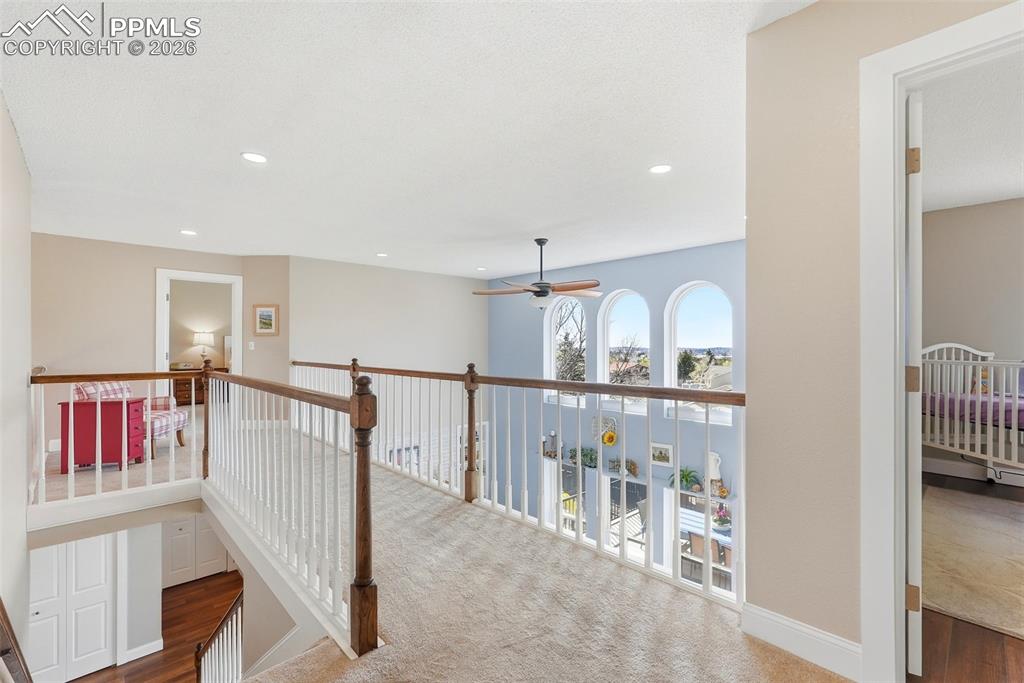 Image 29 of 50: Other