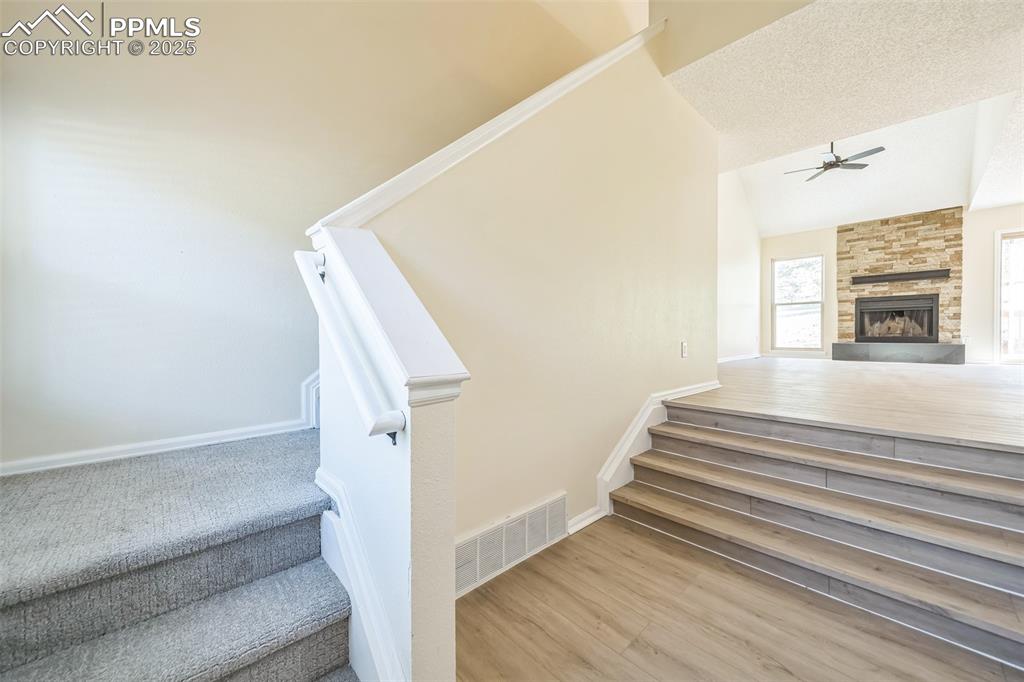 Image 5 of 31: Other