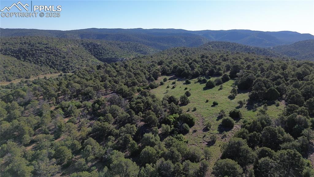 Image 17 of 21: Mountain view with a wooded view