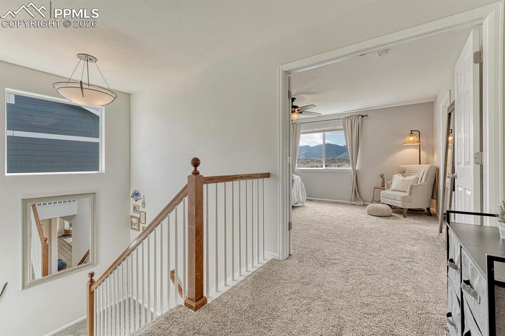 Image 25 of 50: Other