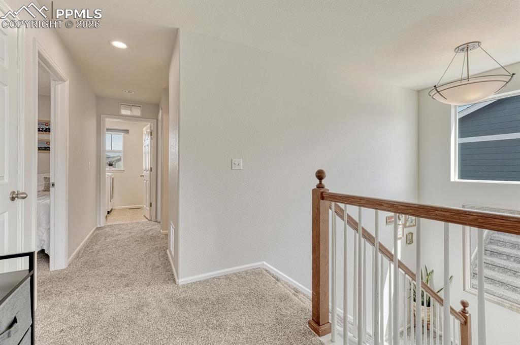 Image 31 of 50: Other