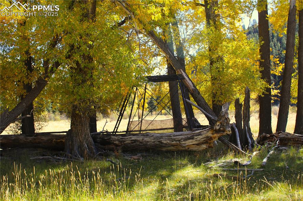 Image 12 of 15: View of undeveloped land