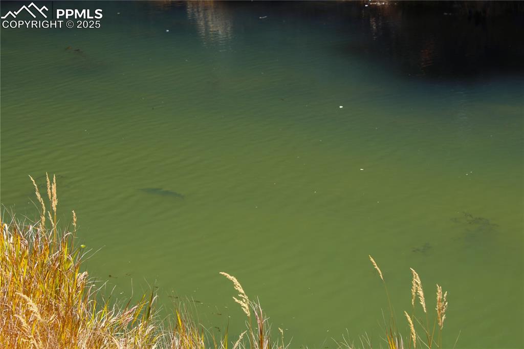 Image 14 of 15: Water view