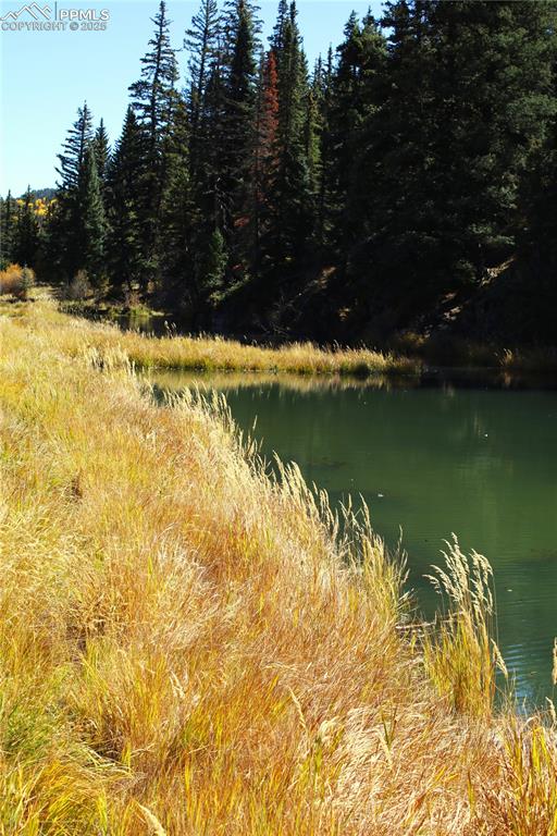 Image 15 of 15: Water view with a forest