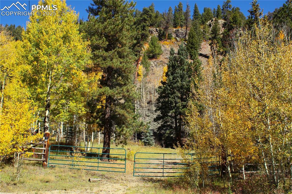 Image 3 of 15: Other