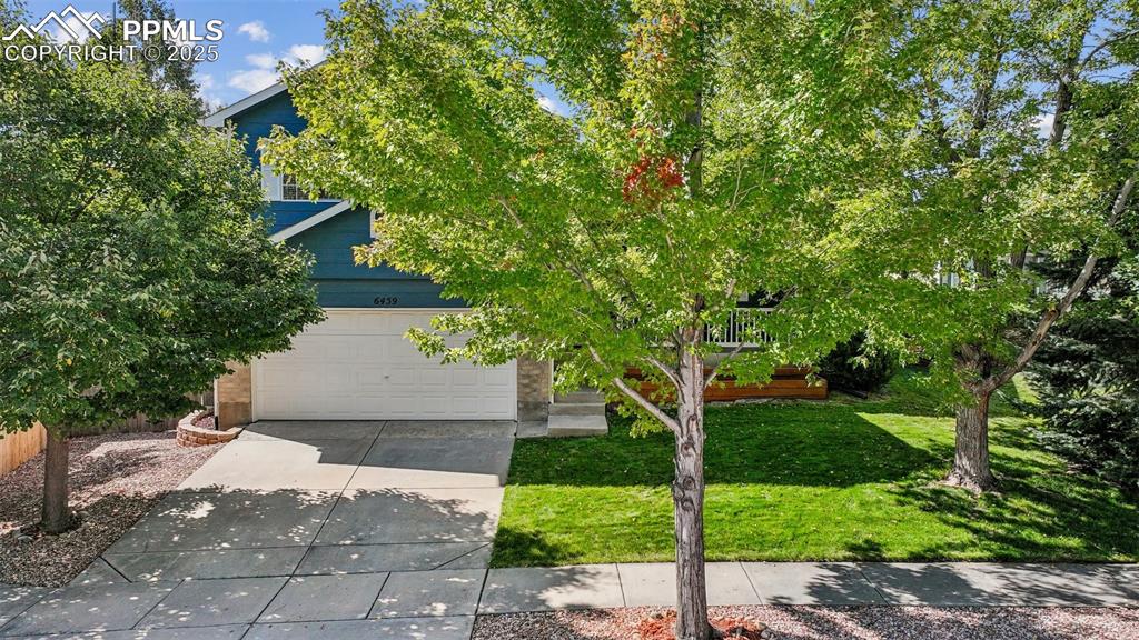 Image 29 of 38: View of property hidden behind natural elements featuring driveway, a garag
