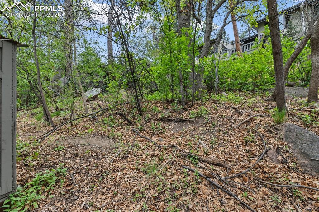 Image 46 of 49: Back yard