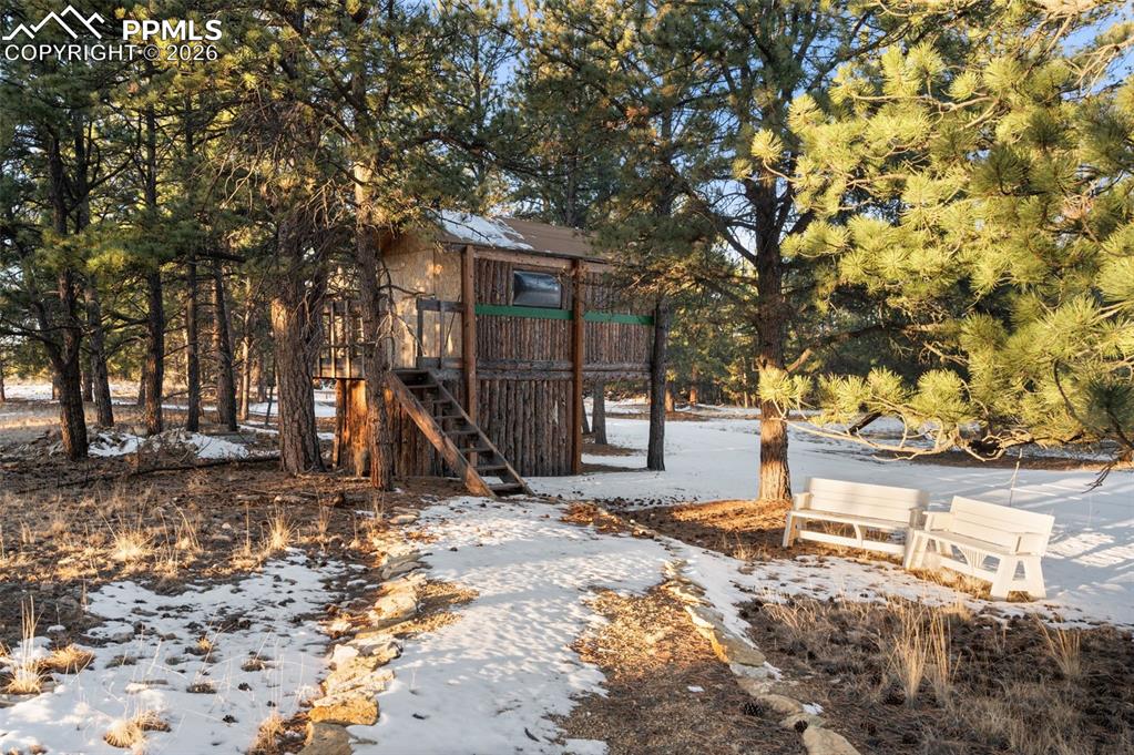 Image 50 of 50: Escape to the treehouse! Even has covered storage underneath for bikes or