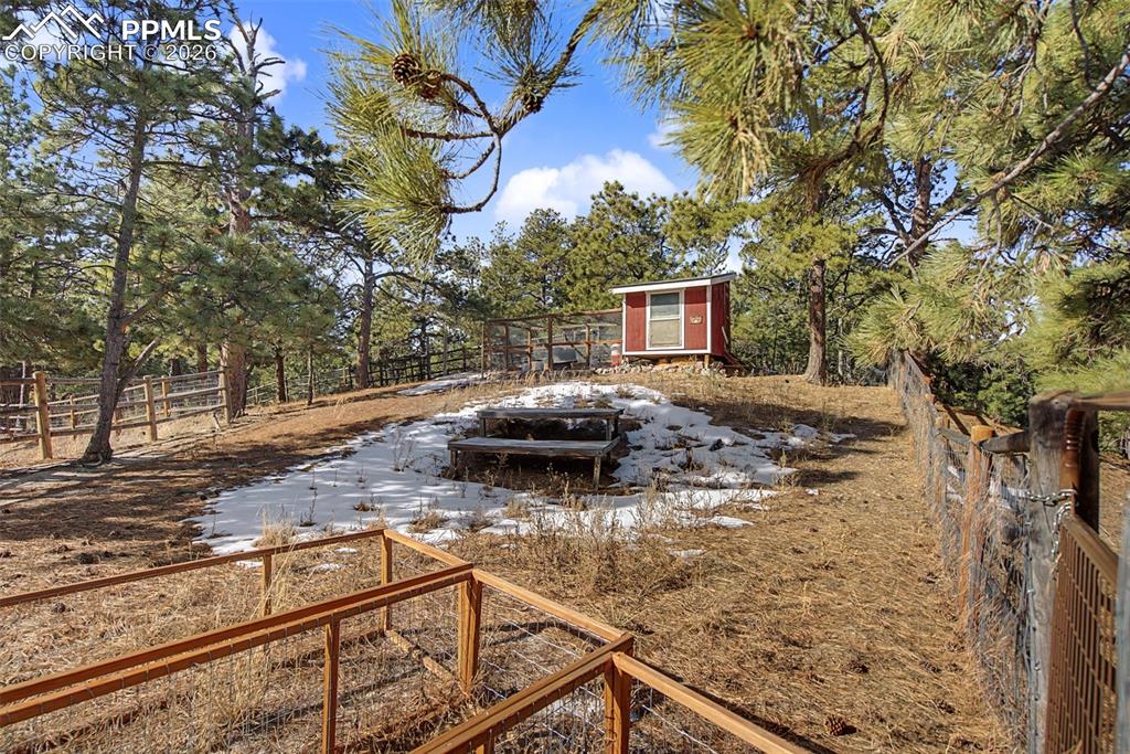 Image 36 of 48: Yard