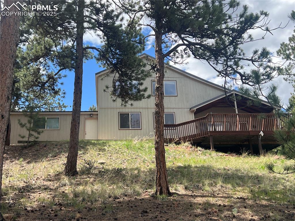 Image 37 of 47: Back of Structure