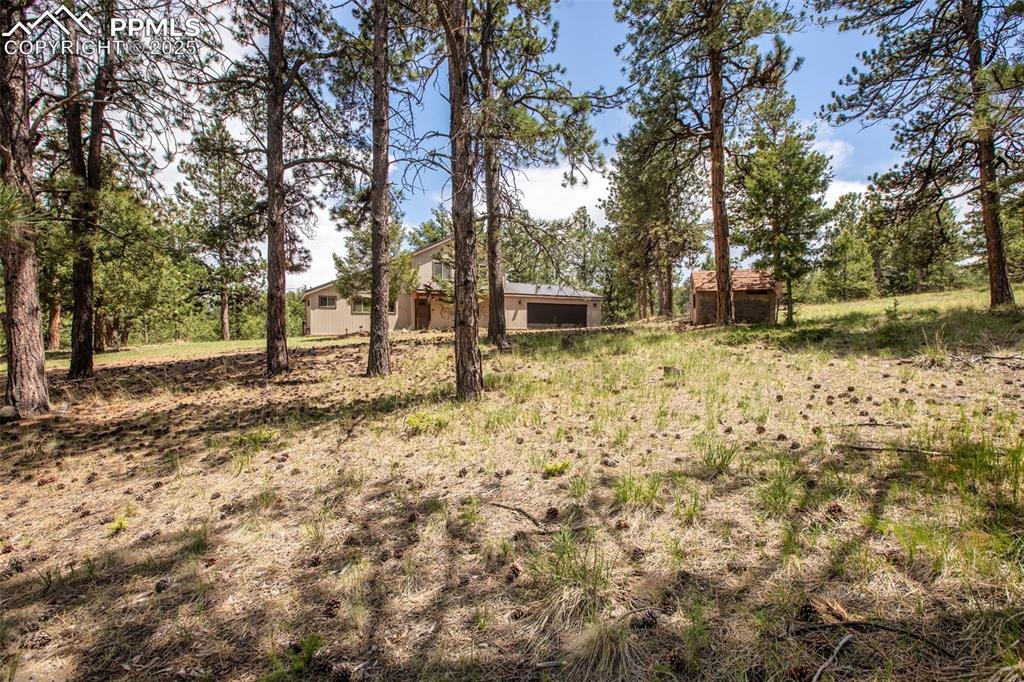 Image 38 of 47: Yard