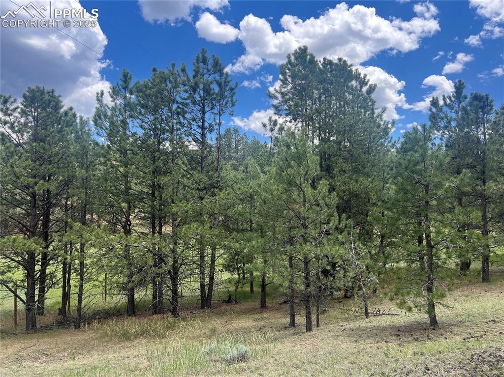 Image 40 of 47: Yard