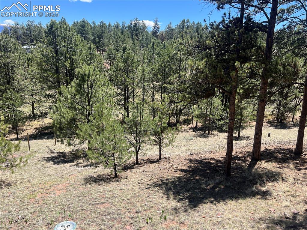 Image 41 of 47: Yard