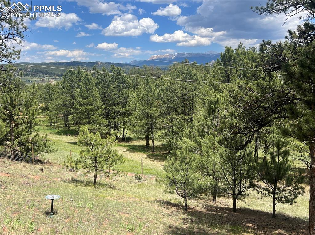 Image 42 of 47: View