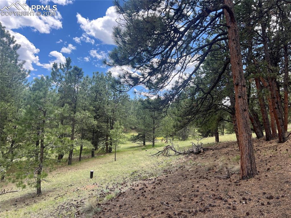 Image 43 of 47: Other