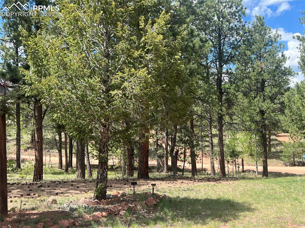 Image 46 of 47: Other