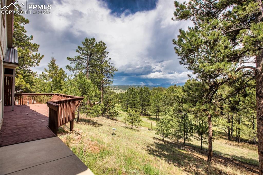 Image 47 of 47: Yard