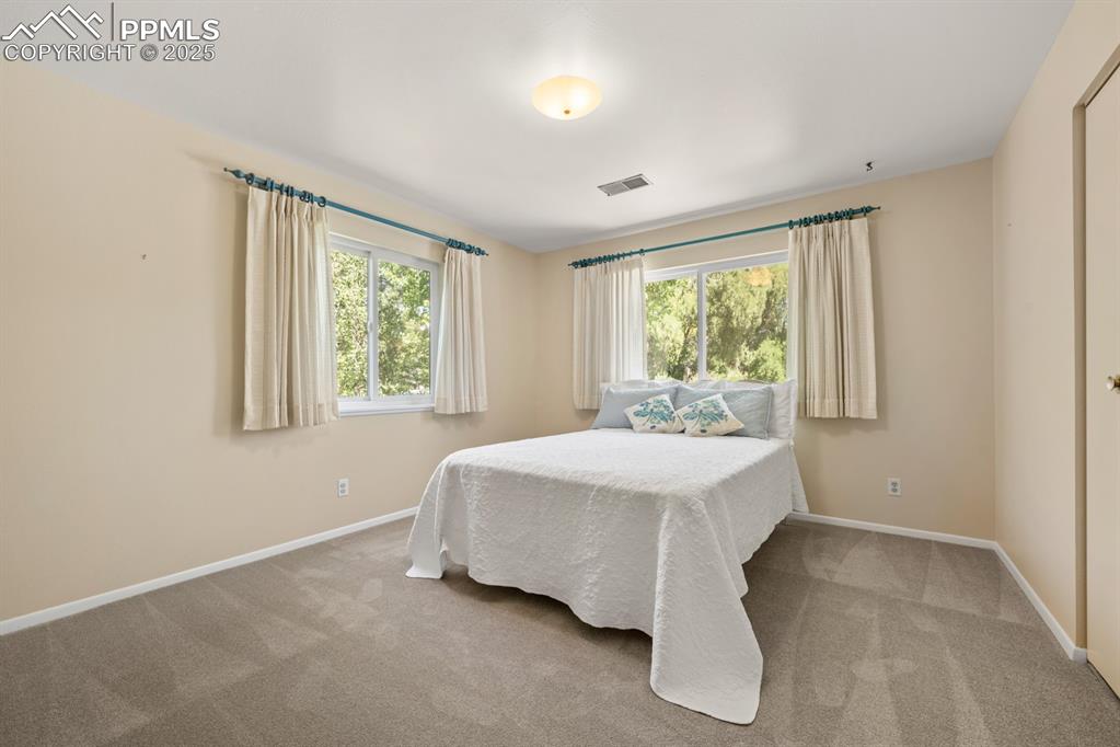 Image 43 of 50: Bedroom featuring multiple windows and light colored carpet