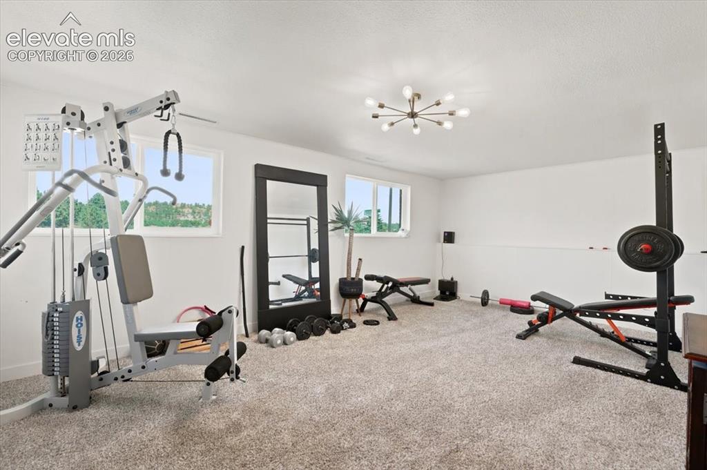Image 33 of 45: Spacious room featuring light gray carpeting, crisp white walls, two large