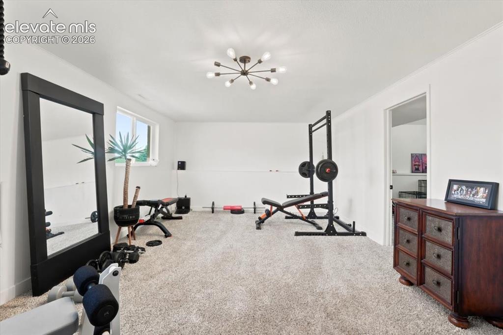 Image 34 of 45: Versatile room featuring light-colored carpeting, white painted walls, and