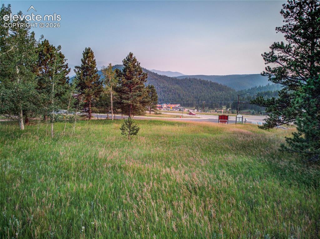 Image 7 of 7: View