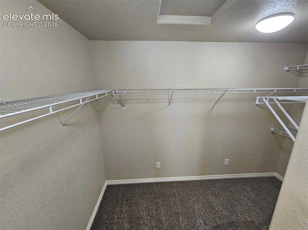 Image 19 of 31: Walk-in closet featuring wire shelving, wall-to-wall carpeting, and flush-m