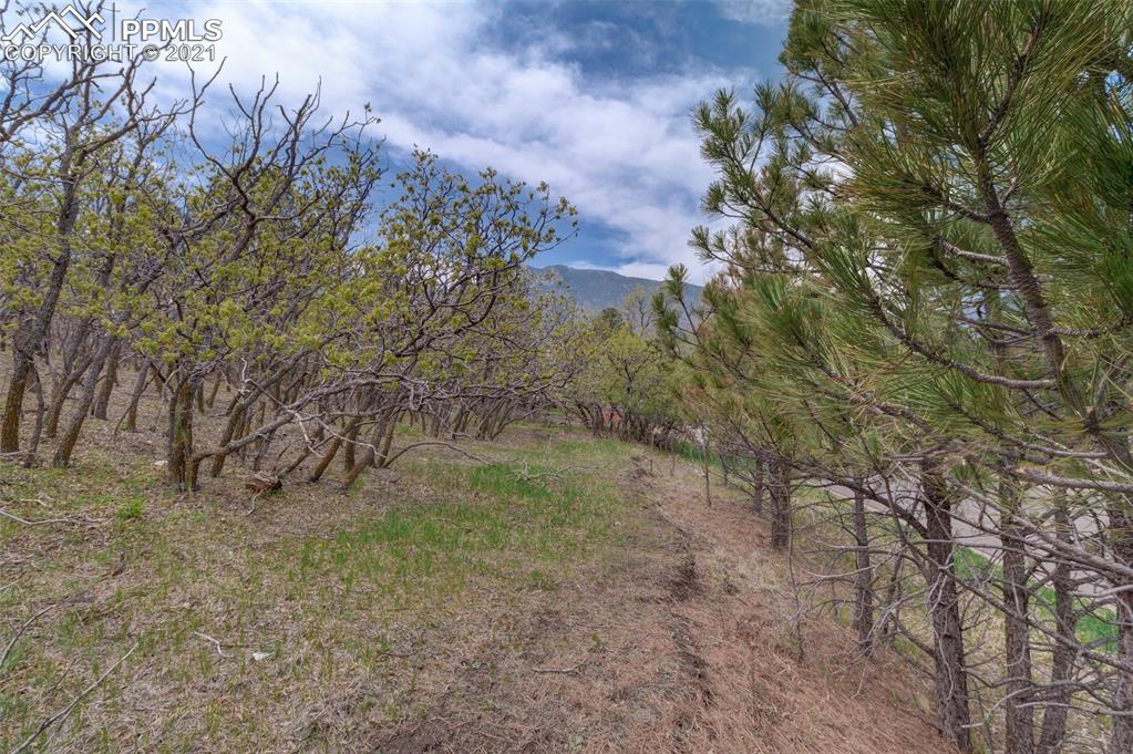 Listing 9868415, Image 5 of 14
