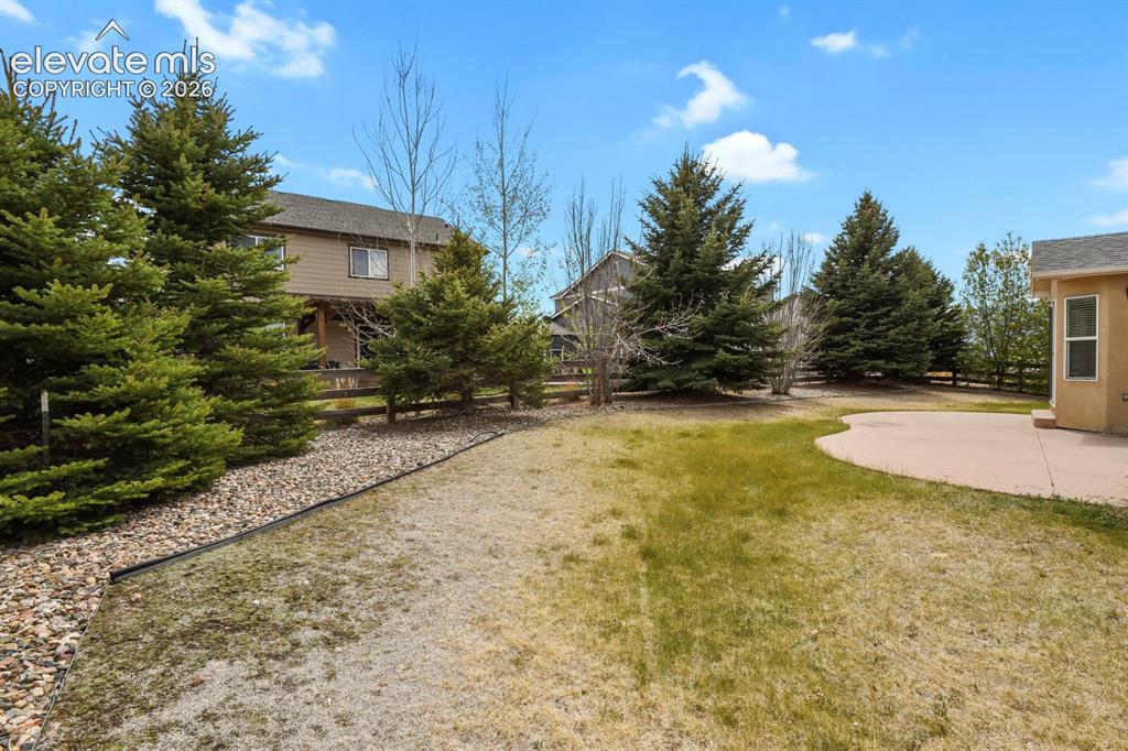 Image 46 of 48: Expansive backyard featuring a curved concrete patio, established evergreen