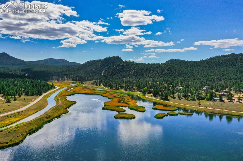 Image 48 of 50: Community