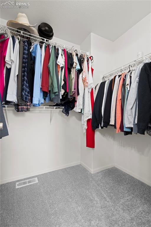 Image 20 of 29: Walk in closet featuring carpet floors