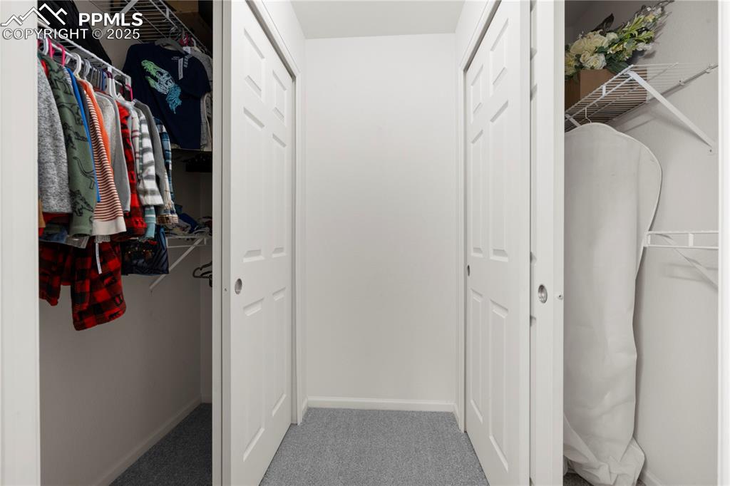 Image 27 of 29: Walk in closet with carpet floors