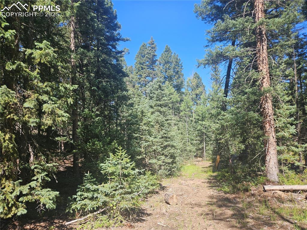 Image 10 of 43: Other