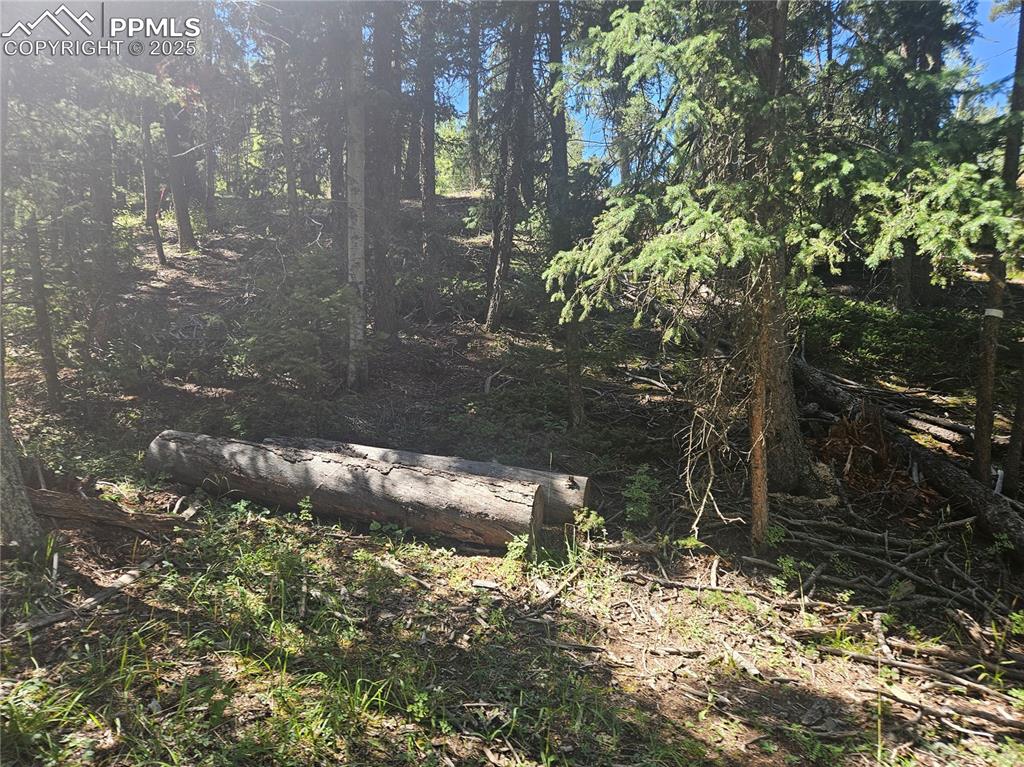 Image 11 of 43: Other