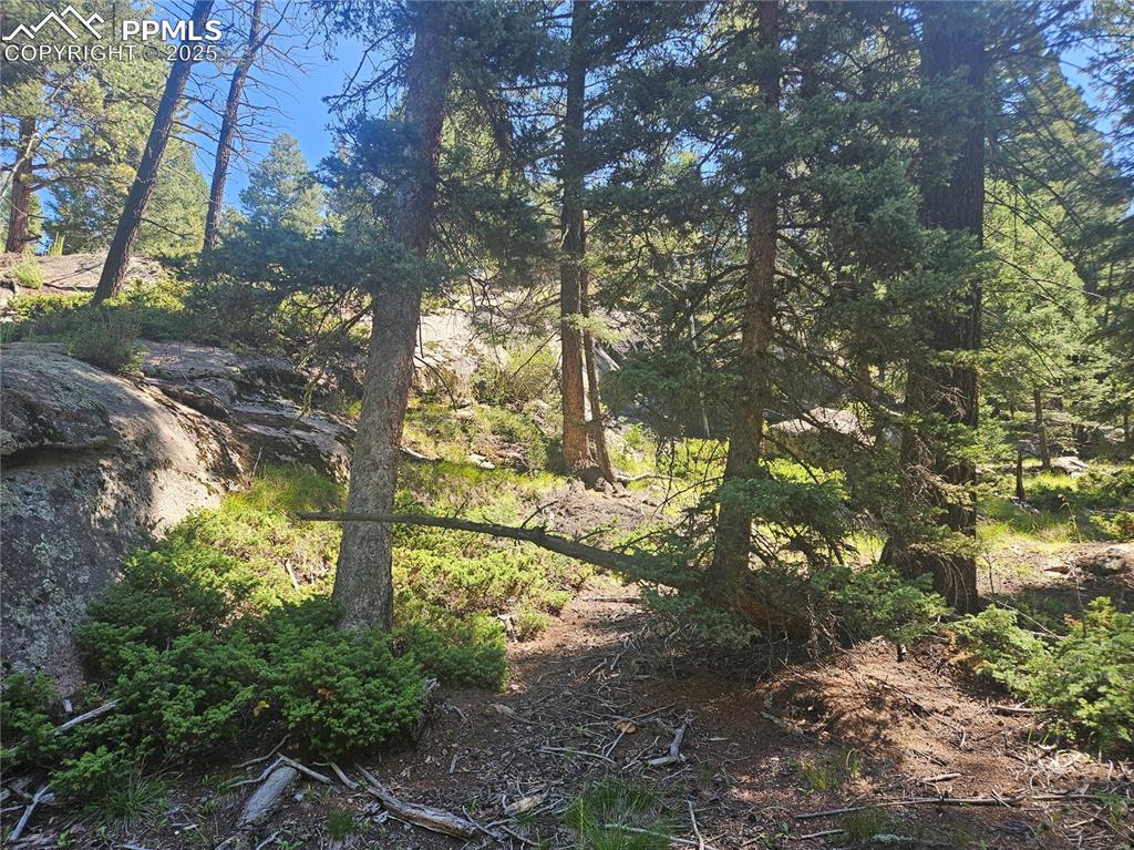 Image 12 of 43: Other