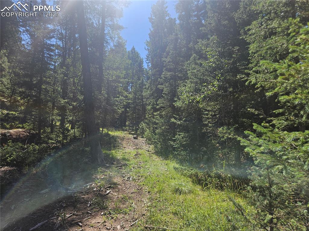 Image 13 of 43: Other