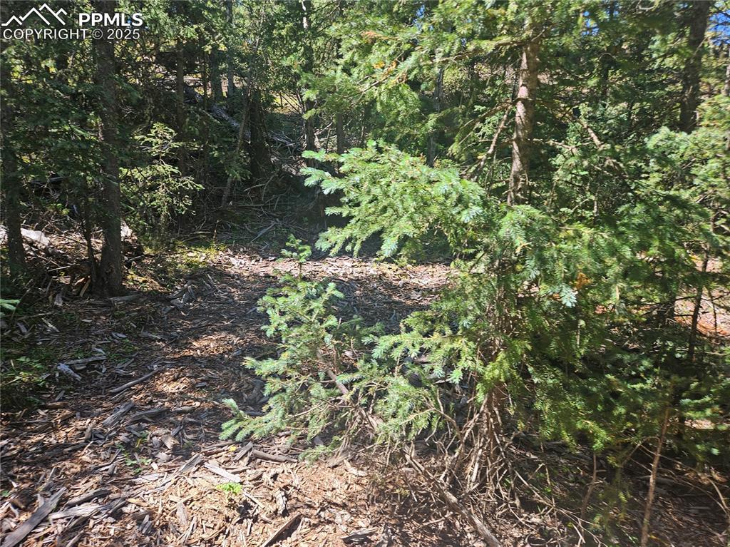 Image 14 of 43: Other