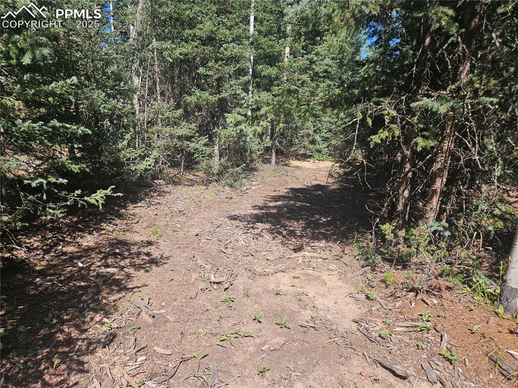 Image 15 of 43: Other