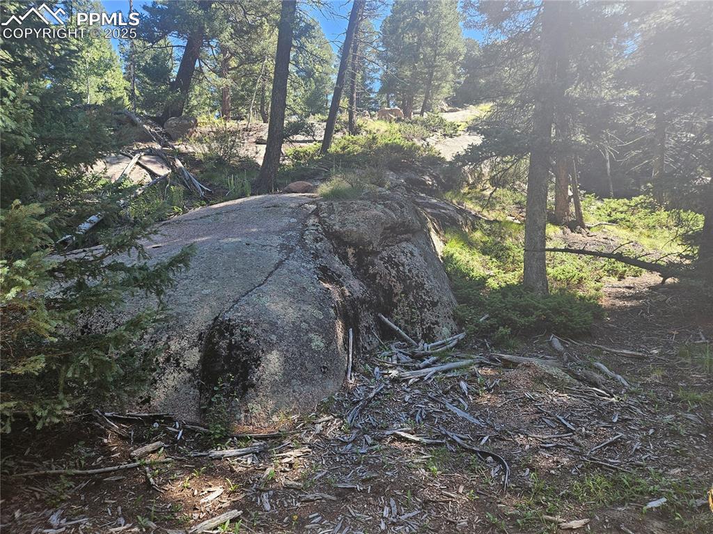 Image 16 of 43: Other