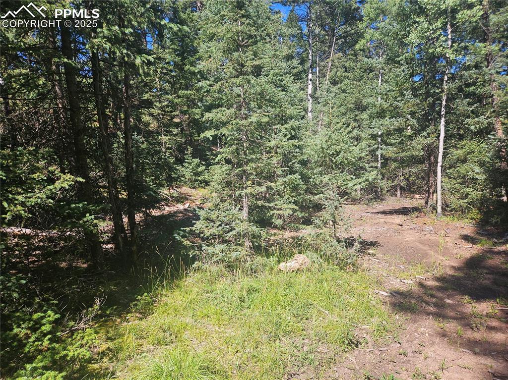 Image 17 of 43: Other