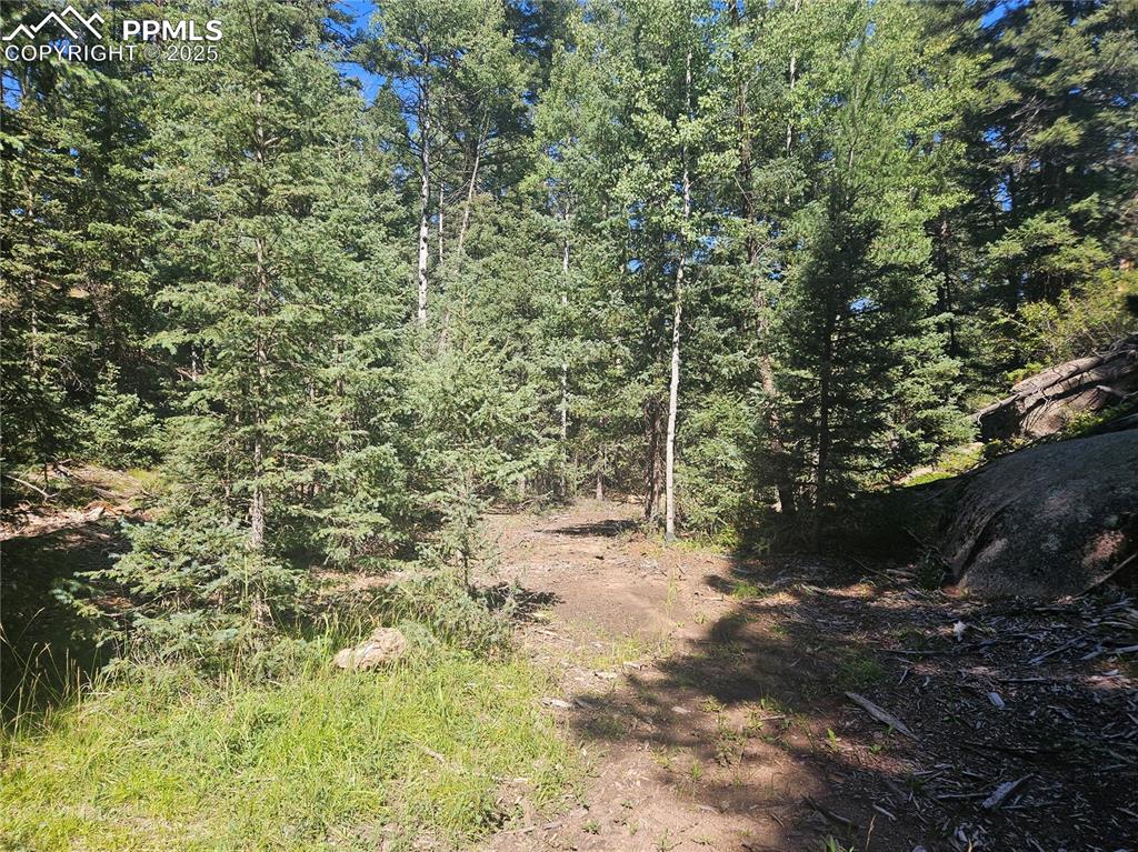 Image 18 of 43: Other