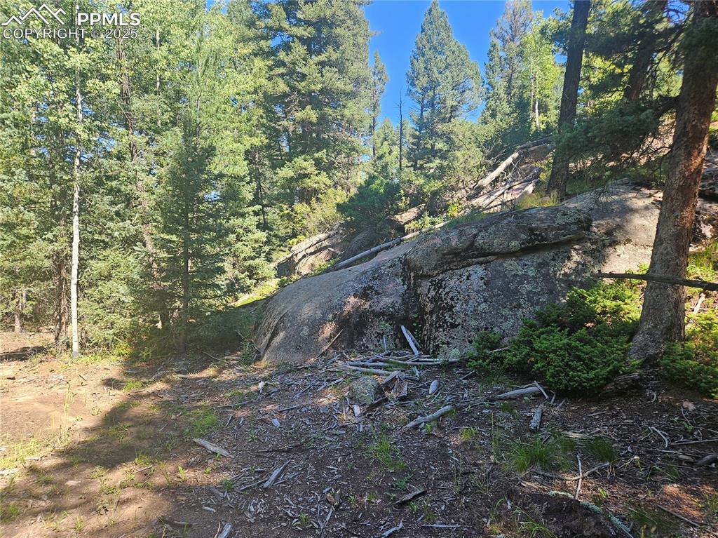 Image 19 of 43: Other