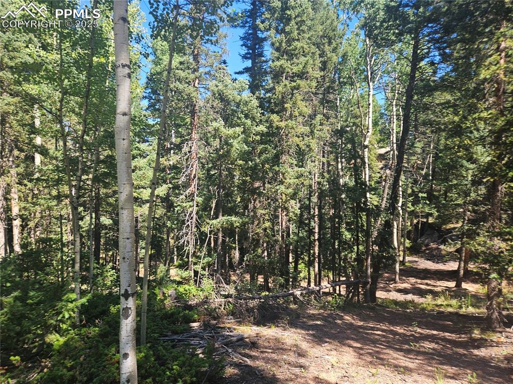 Image 2 of 43: Other