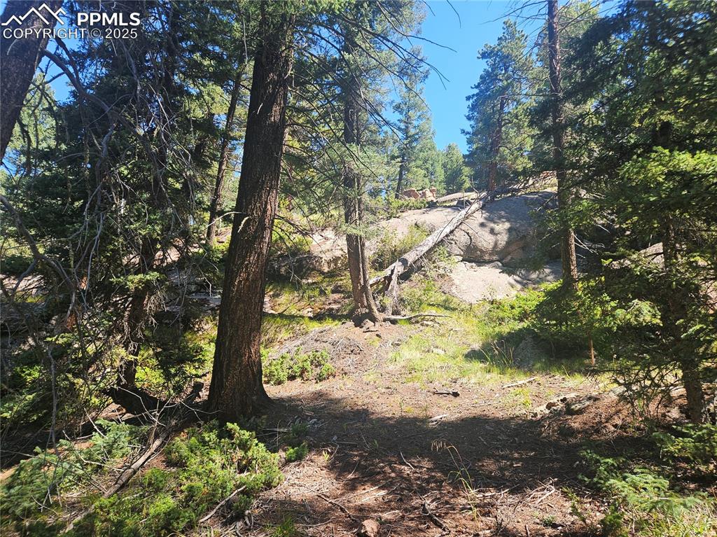 Image 20 of 43: Other