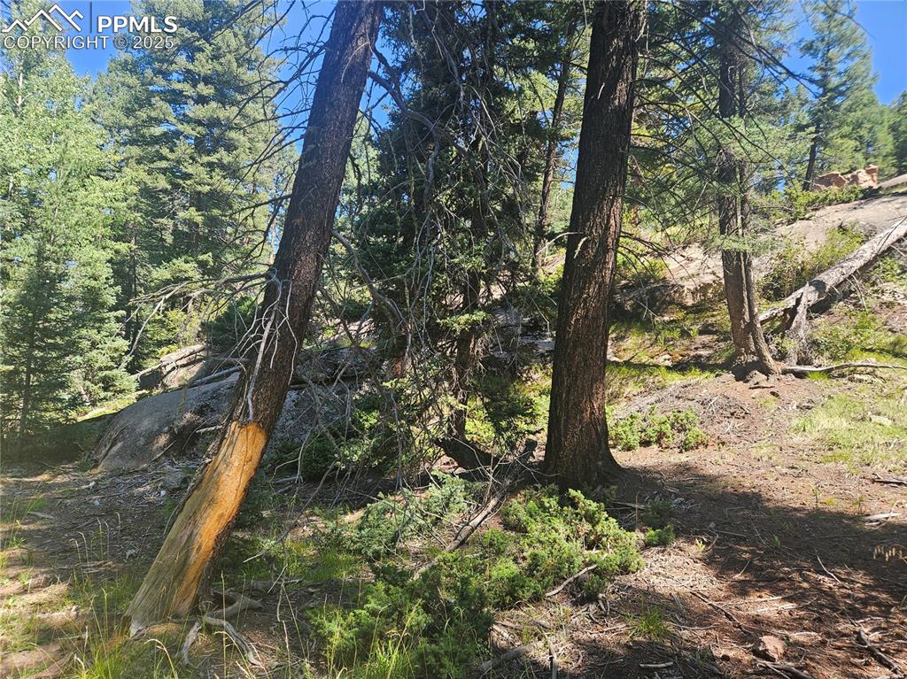 Image 22 of 43: Other