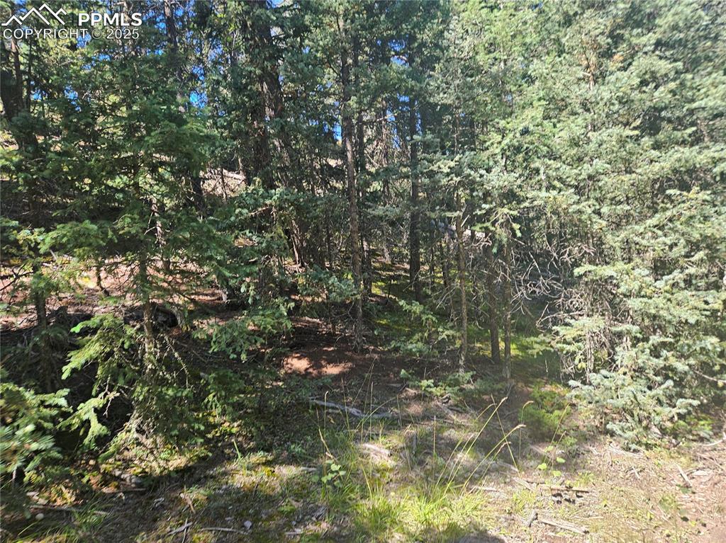 Image 23 of 43: Other