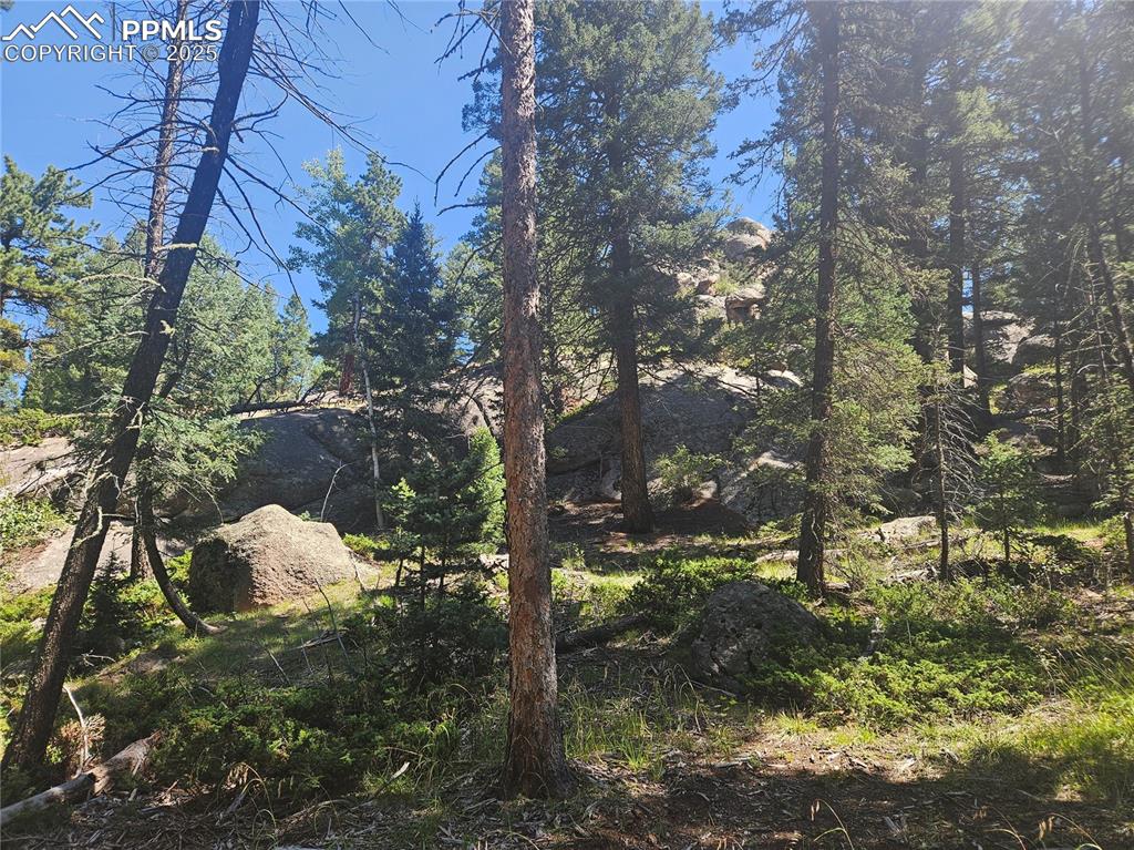 Image 24 of 43: Other