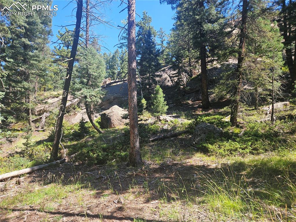 Image 25 of 43: Other